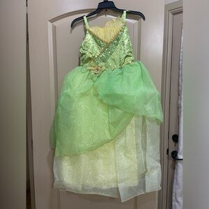 NWT Disney Park Store Tiana dress